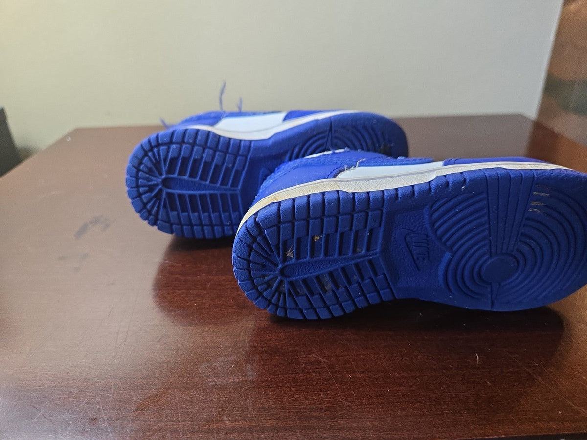 Nike Dunk Low Kids Toddler Shoes Blue/White Athletic Sneakers Size-6C US
