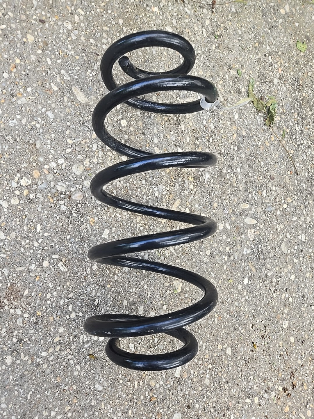 Jeep Rubicon Rear Spring Coil 3590AA
