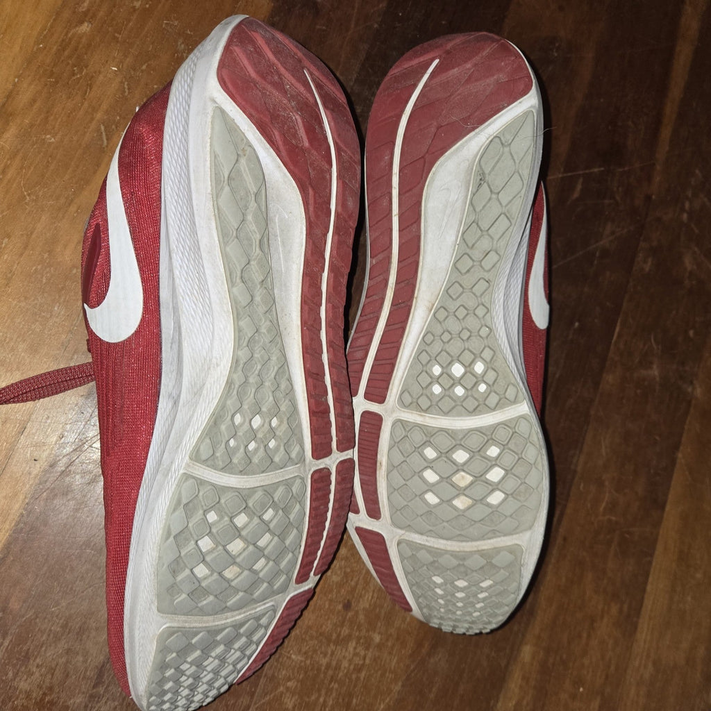 Alabama Crimson Tide NIKE AIR ZOOM PEGASUS 39 Red DR1960-600 Men's Shoes size 13